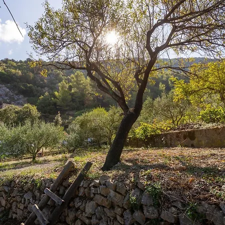 Seaside Secluded Cove Pobij, Hvar - 7506 Apartamento Gdinj